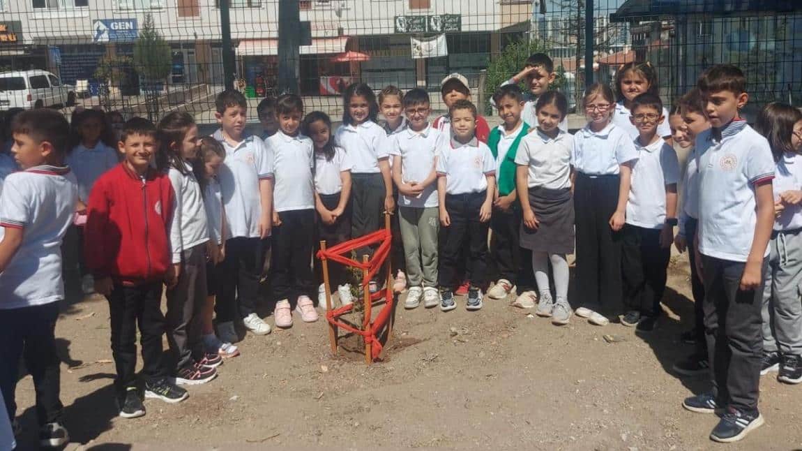YEŞİL VATAN BENİM OKULUM GELECEĞE ÇARE PROJESİ KAPSAMINDA AĞAÇ DİKİMİ