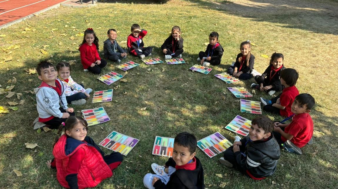 DOĞADA RENK AVI,DOĞANIN RENKLERİ...
